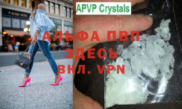 прущие грибы Покачи