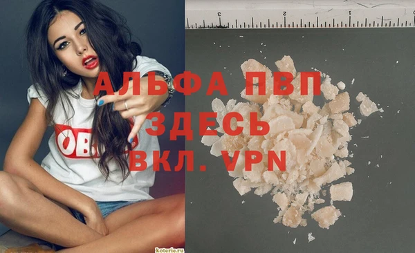 ГАЛЛЮЦИНОГЕННЫЕ ГРИБЫ Покров