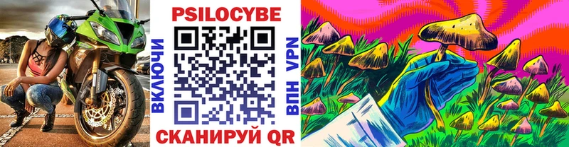 Псилоцибиновые грибы Psilocybe это формула Слюдянка закладки